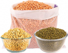 dals-pulses-cat.png dals-pulses-cat.png